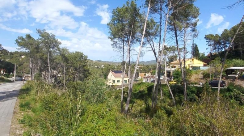 Barcelona - Olivella - 733m2
