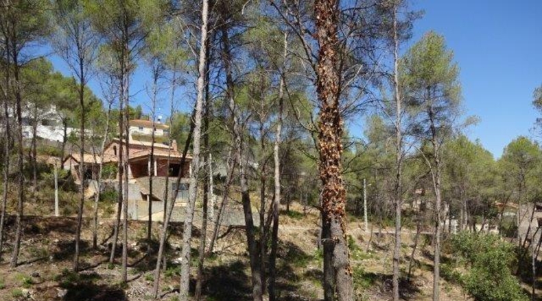 Barcelona - Olivella - 733m2