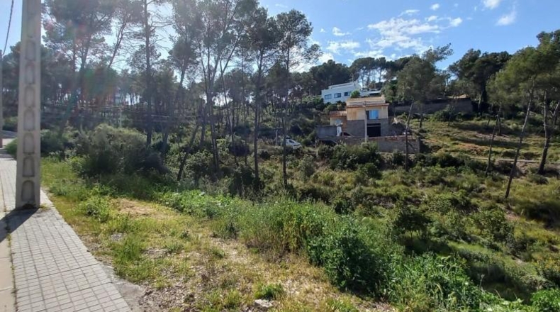 Barcelona - Olivella - 733m2