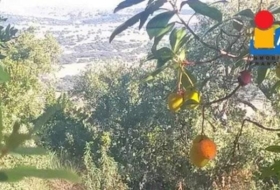 Càceres 2500&nbsp;m² 
