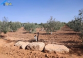 Non-developable land for sale on España, Arahal, ref: TR118540 photo