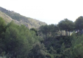Suelo urbano en venta en la España, Benicasim, ref: TR115041 foto