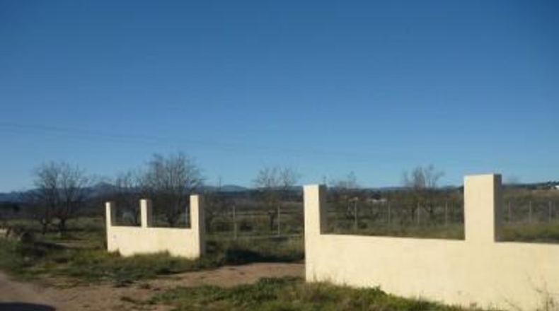 Castellón - Vilafamés - 6913m2