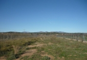 Terreny no urbanitzable en venda a la España, Vilafamés, ref.: TR121896 foto
