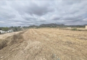 Terreno no urbanizable en venta en la España, Aspe, ref: TR412687 foto