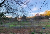 Terreno no urbanizable en venta en la España, Huelva, ref: TR394761 foto