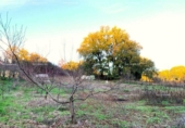 Terreno no urbanizable en venta en la España, Huelva, ref: TR394761 foto