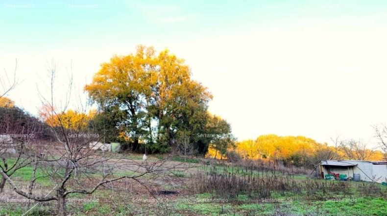 Huelva - Galaroza - 393m2
