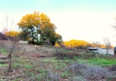 Terreno no urbanizable en venta en la España, Huelva, ref: TR394761 foto
