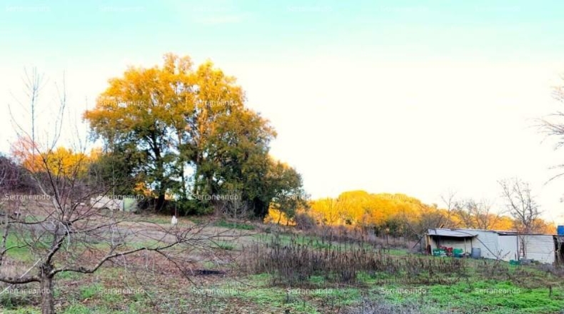 Huelva - Galaroza - 393m2