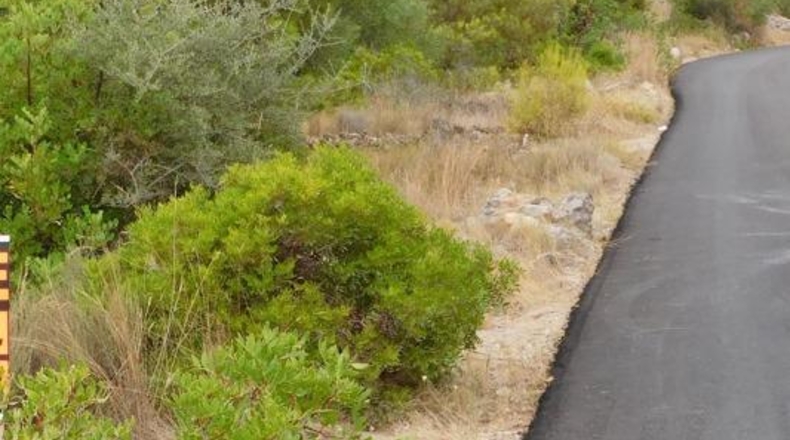 Tarragona - Alcanar - 422m2