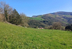 Foto 9