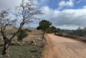Almansa 15600&nbsp;m²