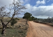 Terreno no urbanizable en venta en la España, Almansa, ref: TR395229 foto