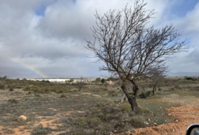 Almansa 15600&nbsp;m²