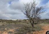 Terreno no urbanizable en venta en la España, Almansa, ref: TR395229 foto