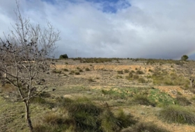 Almansa 15600&nbsp;m²