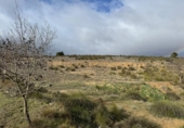 Terreno no urbanizable en venta en la España, Almansa, ref: TR395229 foto