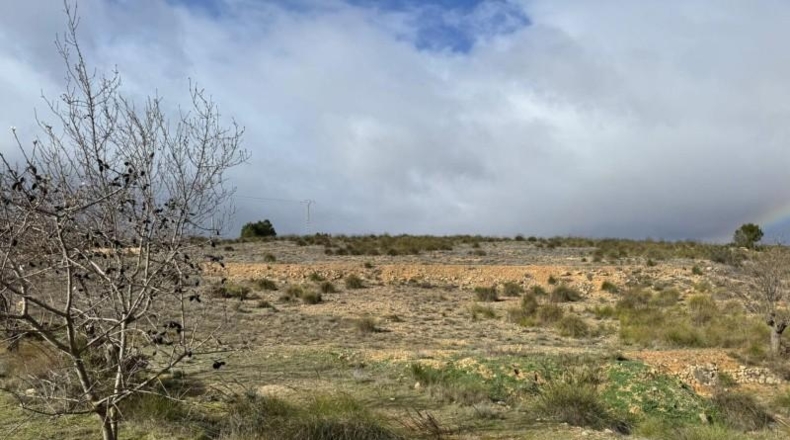Ciudad Real - Puebla de Don Rodrigo - 15600m2