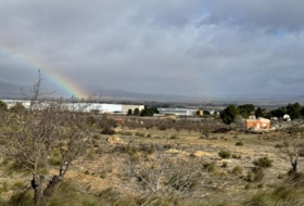Almansa 15600&nbsp;m²