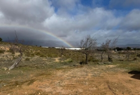 Almansa 15600&nbsp;m²