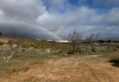 Terreno no urbanizable en venta en la España, Almansa, ref: TR395229 foto