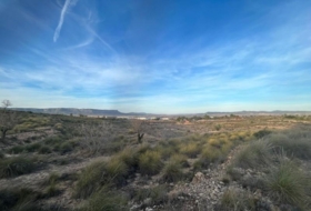 Almansa 15600&nbsp;m²