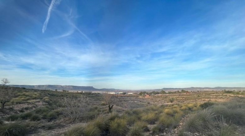Ciudad Real - Puebla de Don Rodrigo - 15600m2