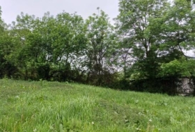 Salas 6331&nbsp;m²
