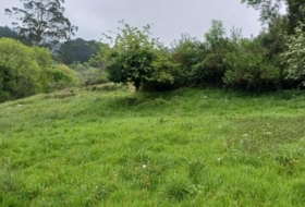 Salas 6331&nbsp;m²
