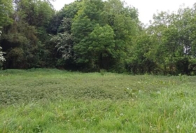 Salas 6331&nbsp;m²