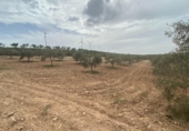 Xalet independent amb terreny en venda a la España, Lucena, ref.: TR288139 foto