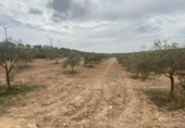 Xalet independent amb terreny en venda a la España, Lucena, ref.: TR288139 foto