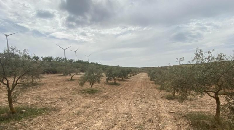 Cordova - Lucena - 8600m2