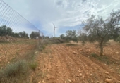 Xalet independent amb terreny en venda a la España, Lucena, ref.: TR288139 foto