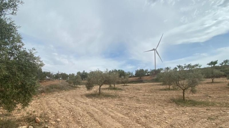 Cordova - Lucena - 8600m2