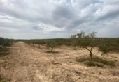 Xalet independent amb terreny en venda a la España, Lucena, ref.: TR288139 foto