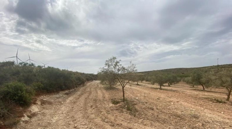 Cordova - Lucena - 8600m2