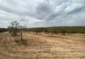 Xalet independent amb terreny en venda a la España, Lucena, ref.: TR288139 foto