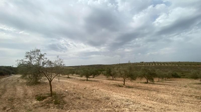 Cordova - Lucena - 8600m2