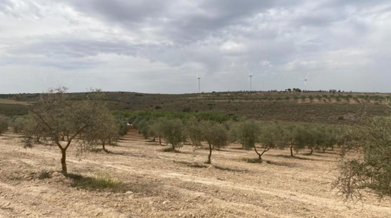 Cordova - Lucena - 8600m2