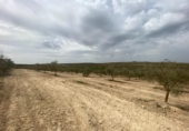 Xalet independent amb terreny en venda a la España, Lucena, ref.: TR288139 foto