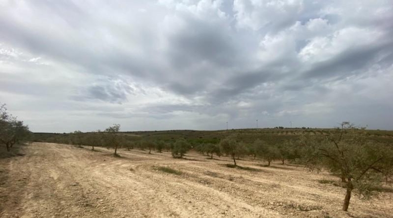 Cordova - Lucena - 8600m2