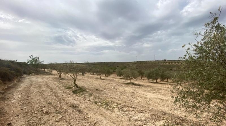 Cordova - Lucena - 8600m2