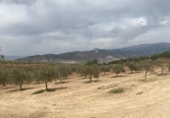 Xalet independent amb terreny en venda a la España, Lucena, ref.: TR288139 foto