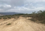 Xalet independent amb terreny en venda a la España, Lucena, ref.: TR288139 foto