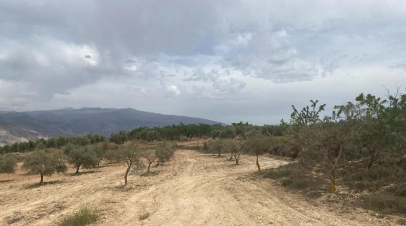 Cordova - Lucena - 8600m2