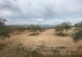 Xalet independent amb terreny en venda a la España, Lucena, ref.: TR288139 foto
