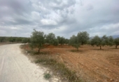 Xalet independent amb terreny en venda a la España, Lucena, ref.: TR288139 foto
