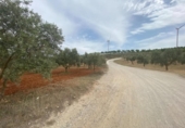 Xalet independent amb terreny en venda a la España, Lucena, ref.: TR288139 foto